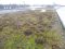 DSCN9722.JPG